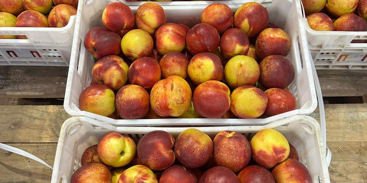 Nettarine - Italia, alla rinfusa, prezzo 1,40-1,60 euro/chilo